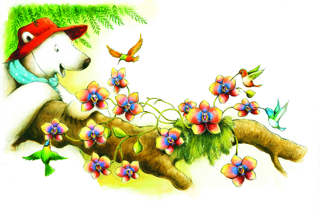 Weitere Ansicht: Eisbärin Ella im Amazonas | Sharon Rentta