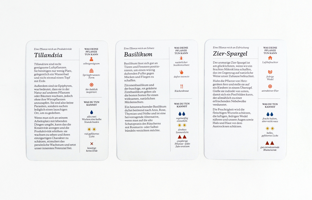 Weitere Ansicht: Pflanzenreich | Julie Rose Bower, Jonathan Kaplan