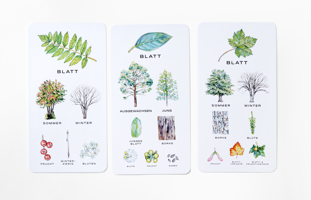 Weitere Ansicht: Baum-Wissen | Tony Kirkham