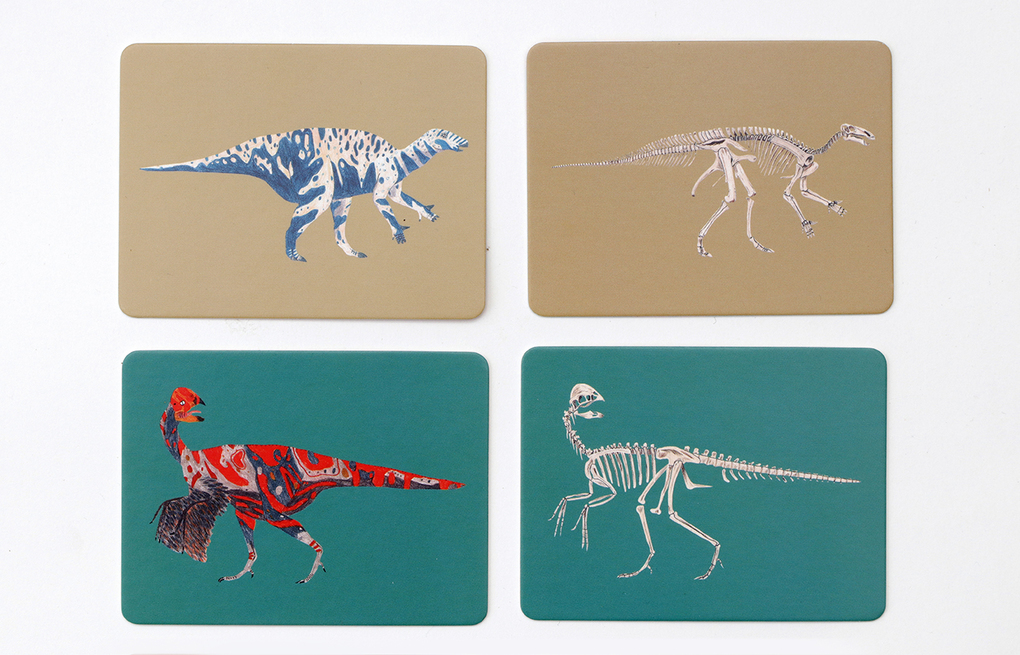 Weitere Ansicht: Dinos & ihre Knochen | Paul Upchurch