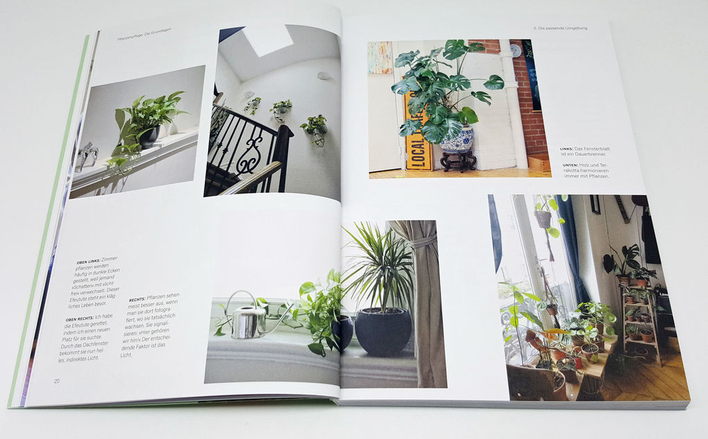 Weitere Ansicht: Grünes Zuhause | Darryl Cheng