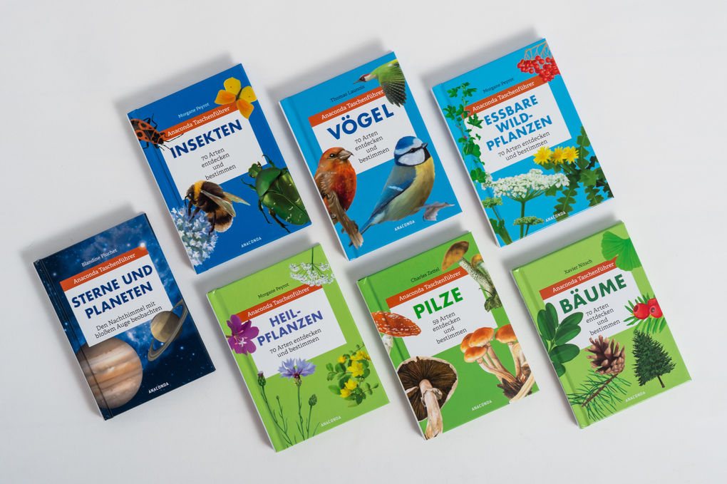 Weitere Ansicht: Anaconda Taschenführer Sterne und Planeten. Den Nachthimmel mit bloßem Auge beobachten | Blandine Pluchet