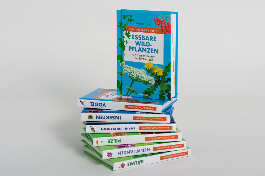 Weitere Ansicht: Anaconda Taschenführer Sterne und Planeten. Den Nachthimmel mit bloßem Auge beobachten | Blandine Pluchet