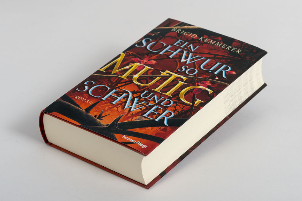 Weitere Ansicht: Ein Schwur so mutig und schwer | Brigid Kemmerer