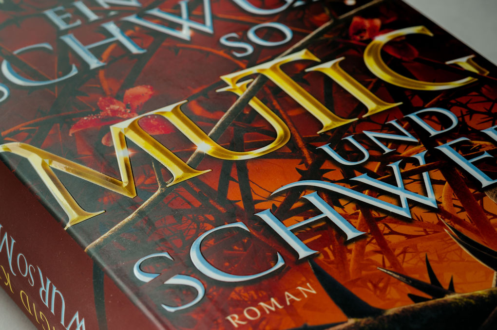 Weitere Ansicht: Ein Schwur so mutig und schwer | Brigid Kemmerer