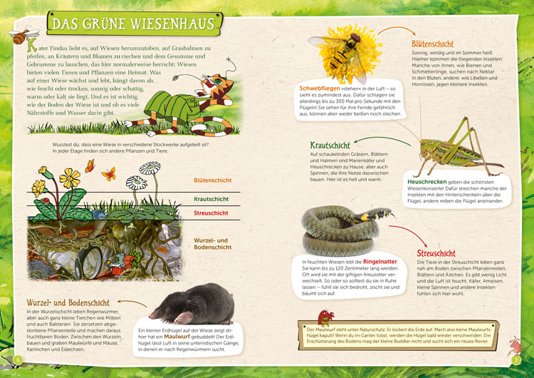 Weitere Ansicht: Pettersson und Findus: Tiere entdecken in Wald und Wiese | Sven Nordqvist, Steffi Korda