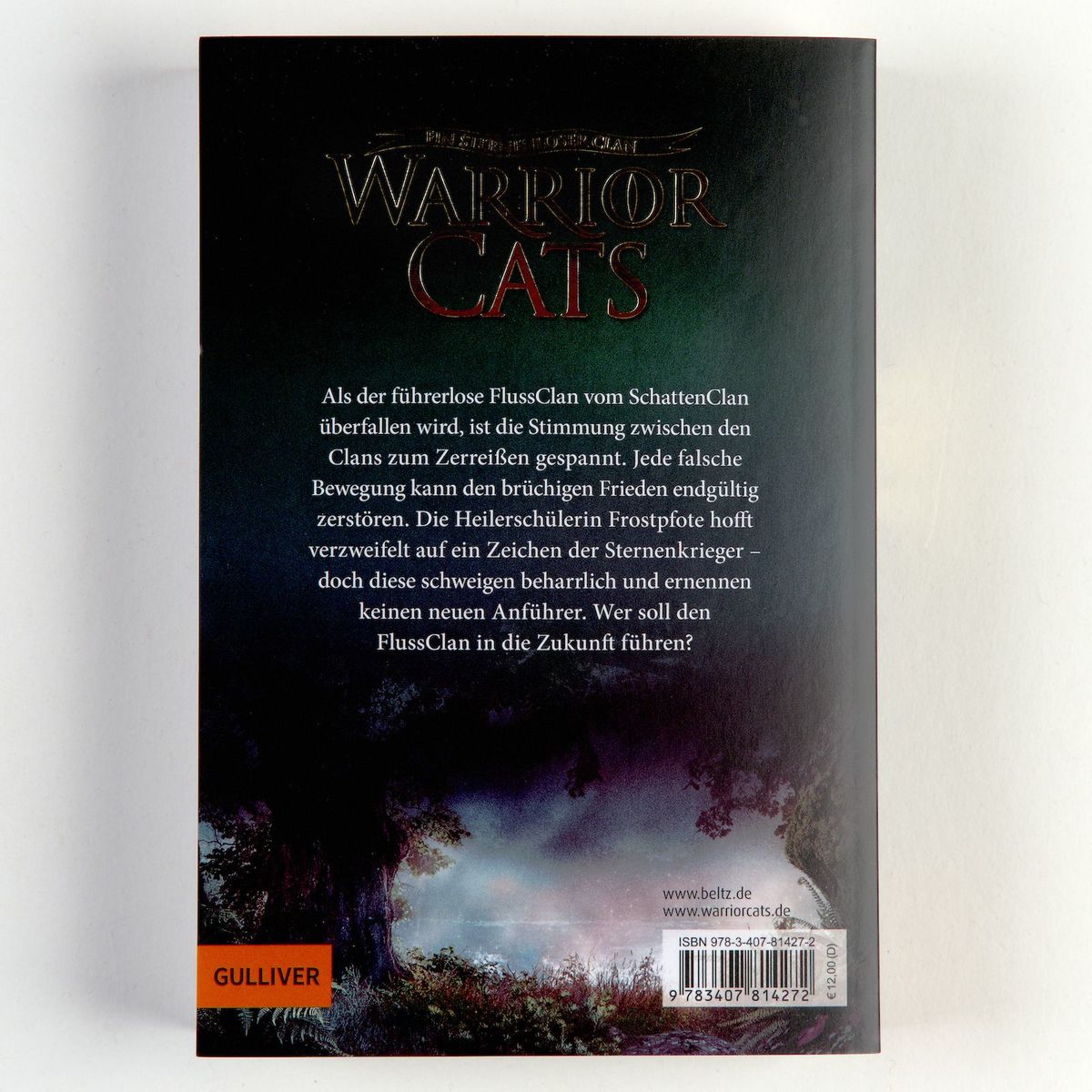 Weitere Ansicht: Warrior Cats 06/2 - Vision von Schatten. Donner und Schatten | Erin Hunter