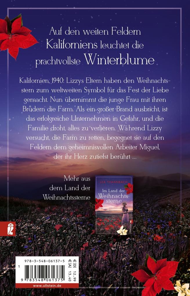 Weitere Ansicht: Wiedersehen im Land der Weihnachtssterne | Lea Thannbach