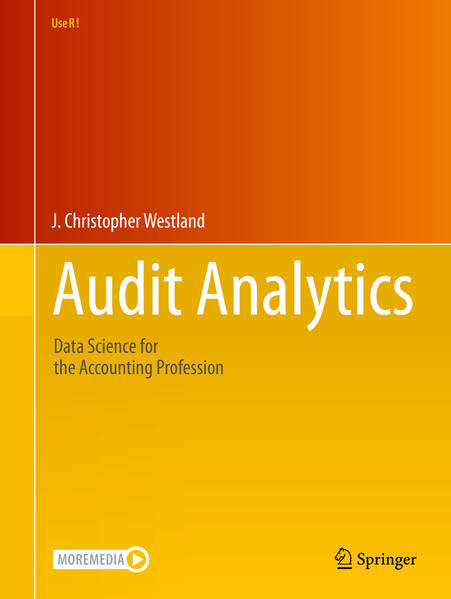 Produktbild: Audit Analytics | J. Christopher Westland