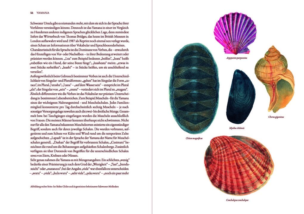 Weitere Ansicht: Atlas der verlorenen Sprachen | Rita Mielke, Hanna Zeckau