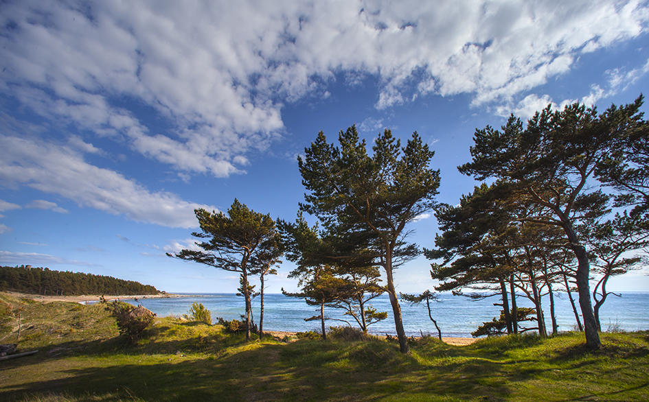 Weitere Ansicht: Abenteuer Baltikum | Guido Lange