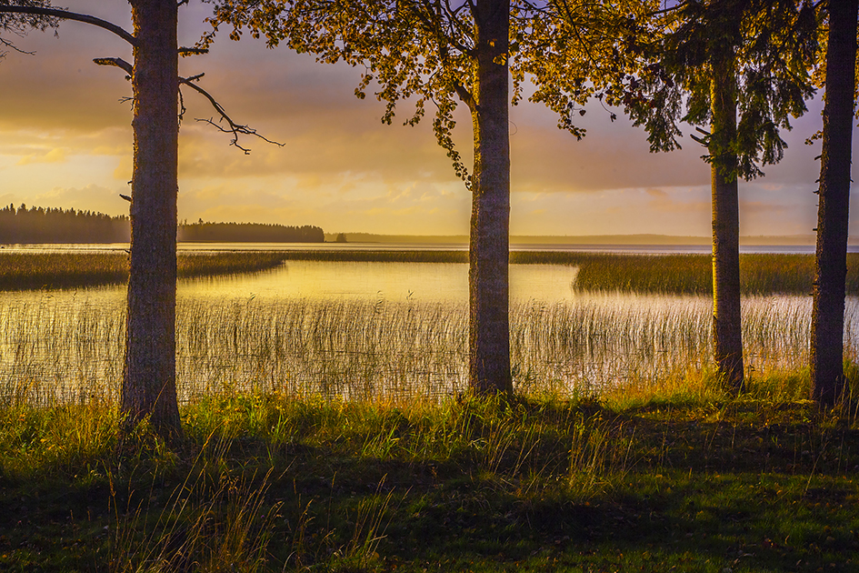 Weitere Ansicht: Abenteuer Baltikum | Guido Lange
