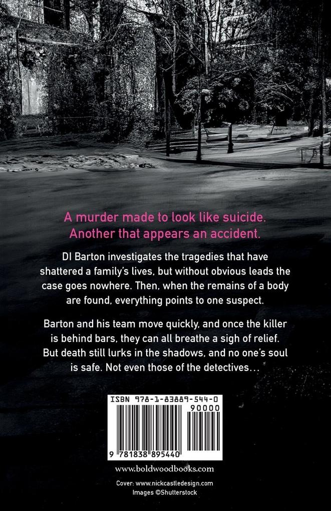 Weitere Ansicht: The Soul Killer | Ross Greenwood