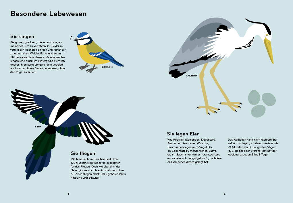 Weitere Ansicht: Ornithorama | Lisa Voisard
