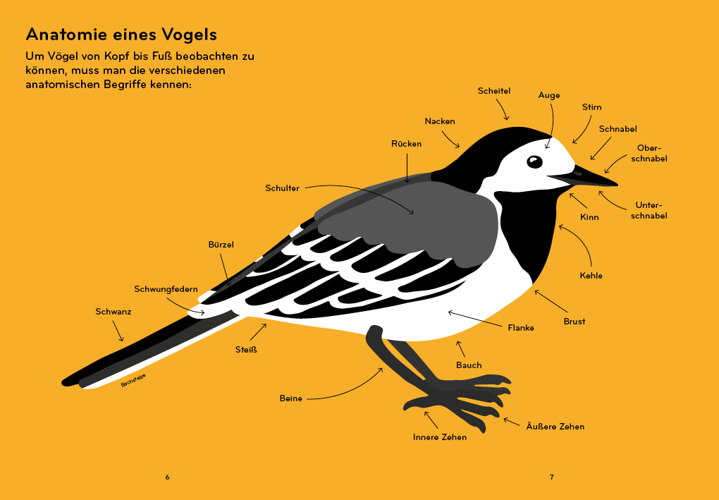Weitere Ansicht: Ornithorama | Lisa Voisard