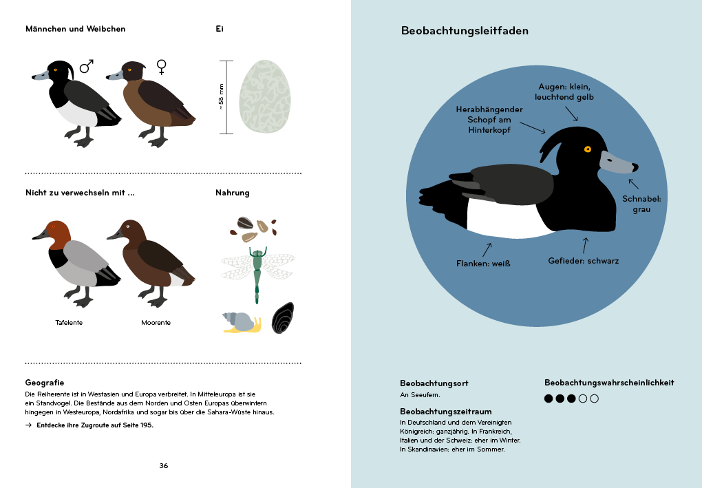 Weitere Ansicht: Ornithorama | Lisa Voisard