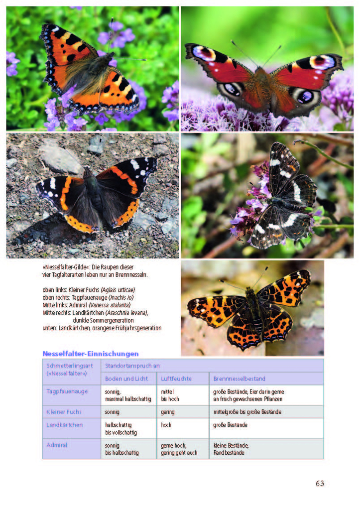 Weitere Ansicht: Besonders: Schmetterlinge | Michael Altmoos