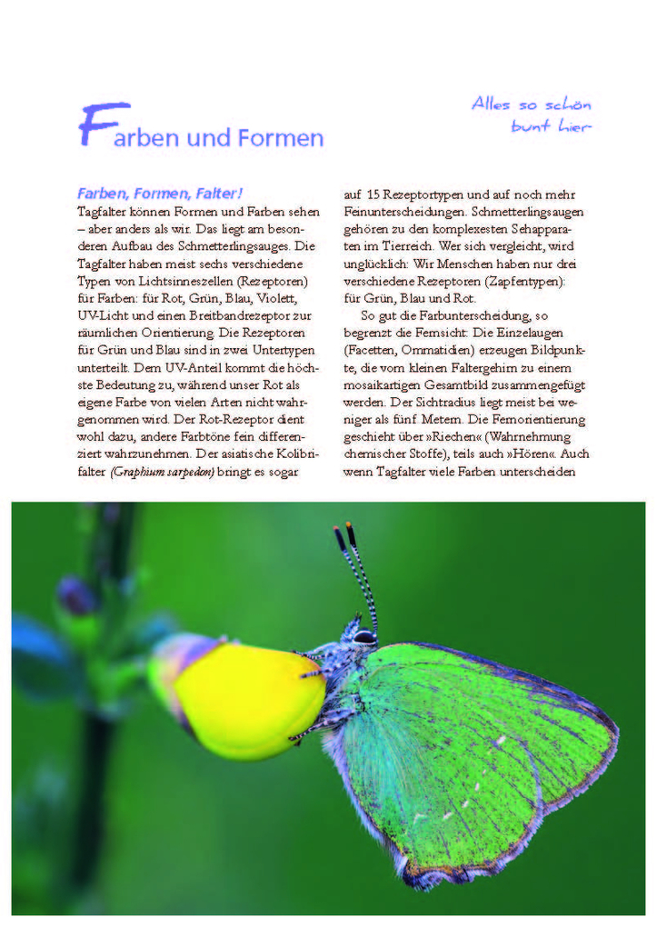 Weitere Ansicht: Besonders: Schmetterlinge | Michael Altmoos