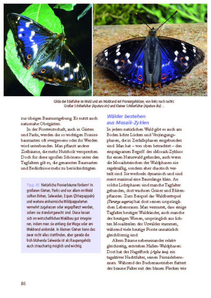 Weitere Ansicht: Besonders: Schmetterlinge | Michael Altmoos