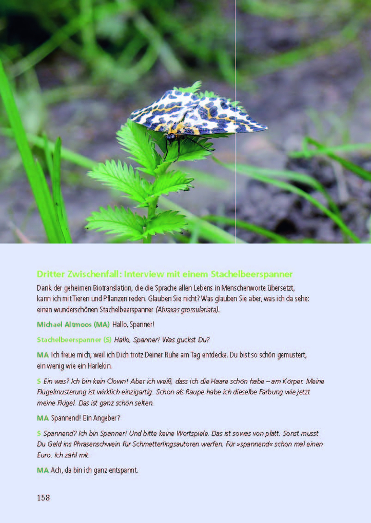 Weitere Ansicht: Besonders: Schmetterlinge | Michael Altmoos