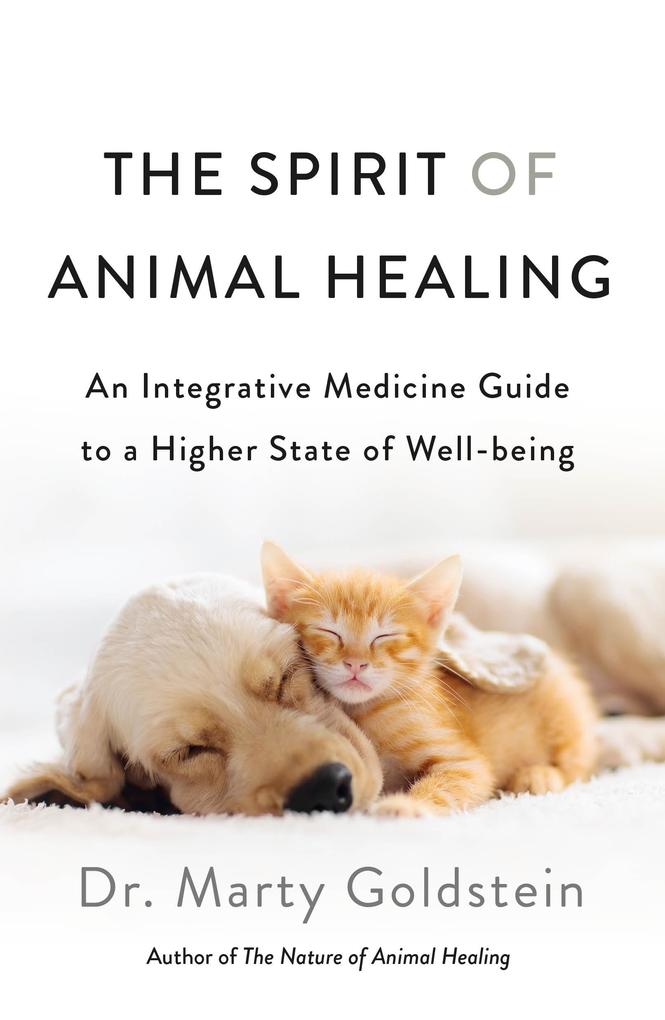 Produktbild: Spirit of Animal Healing | Marty Goldstein