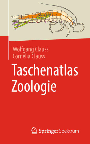 Produktbild: Taschenatlas Zoologie | Wolfgang Clauss, Cornelia Clauss