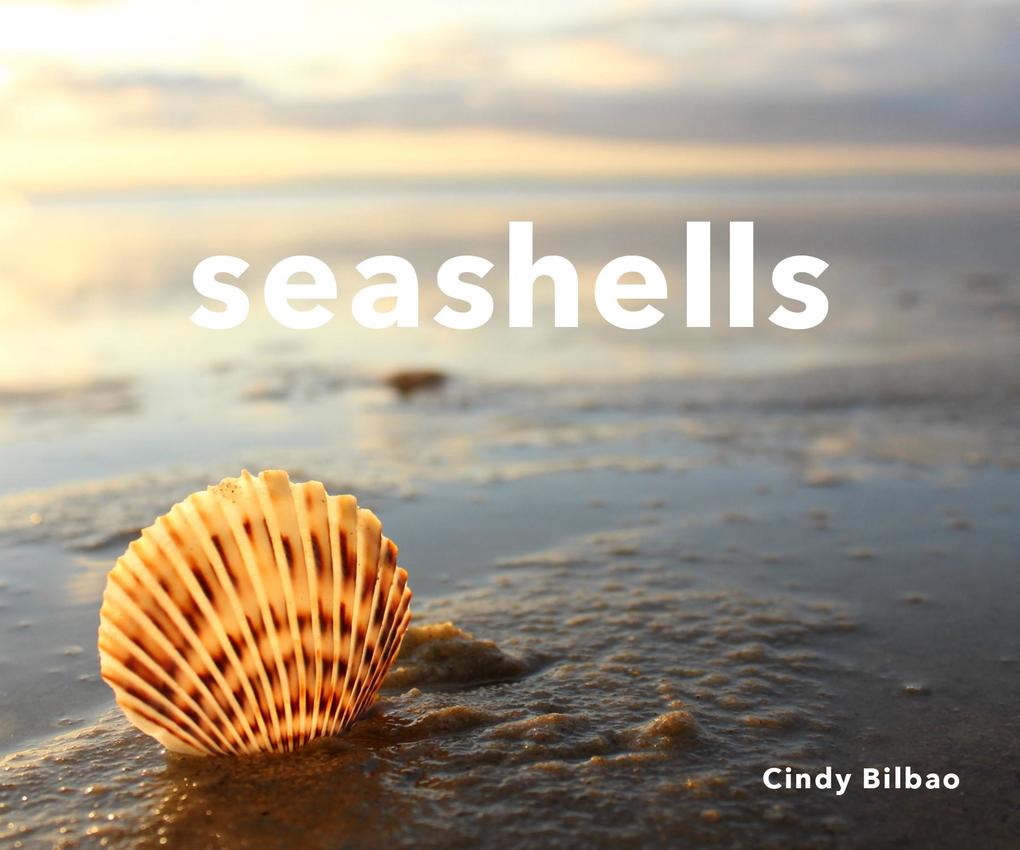Produktbild: Seashells | Cindy Bilbao