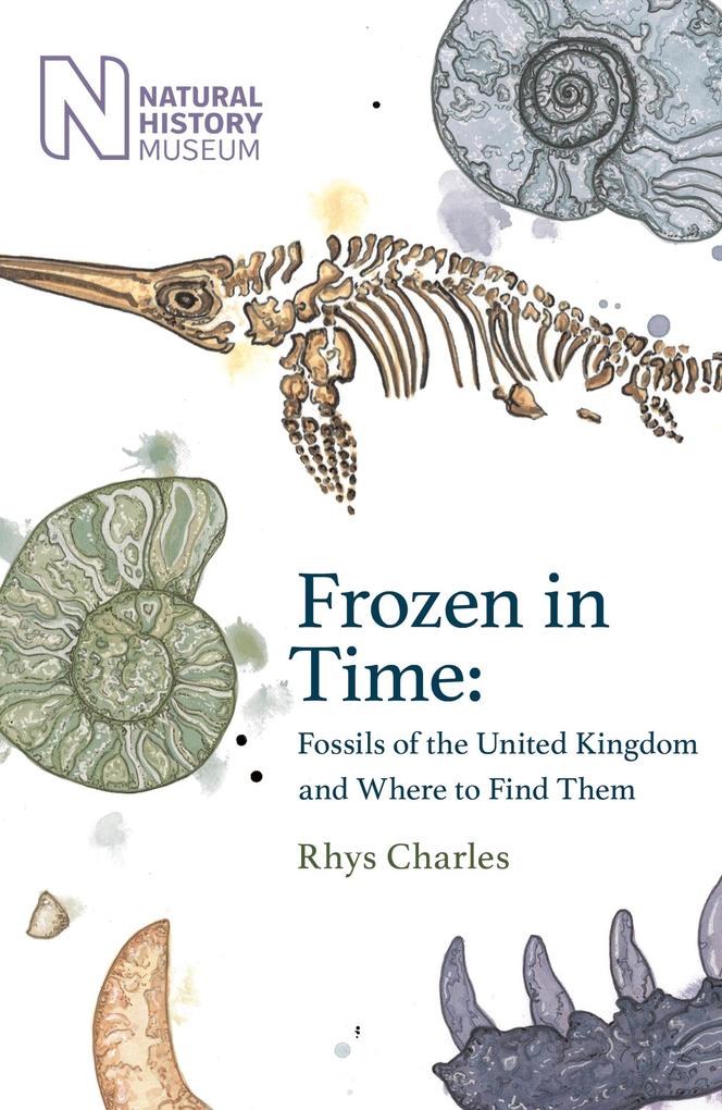 Produktbild: Frozen in Time | Rhys Charles