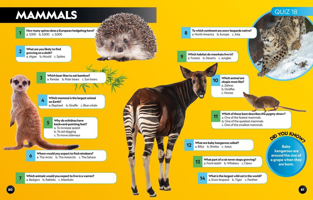 Weitere Ansicht: Big Quiz Book | National Geographic Kids