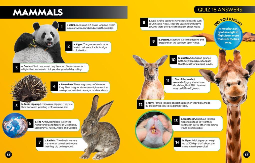 Weitere Ansicht: Big Quiz Book | National Geographic Kids