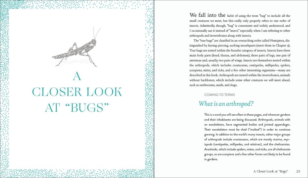 Weitere Ansicht: Garden Allies | Frederique Lavoipierre