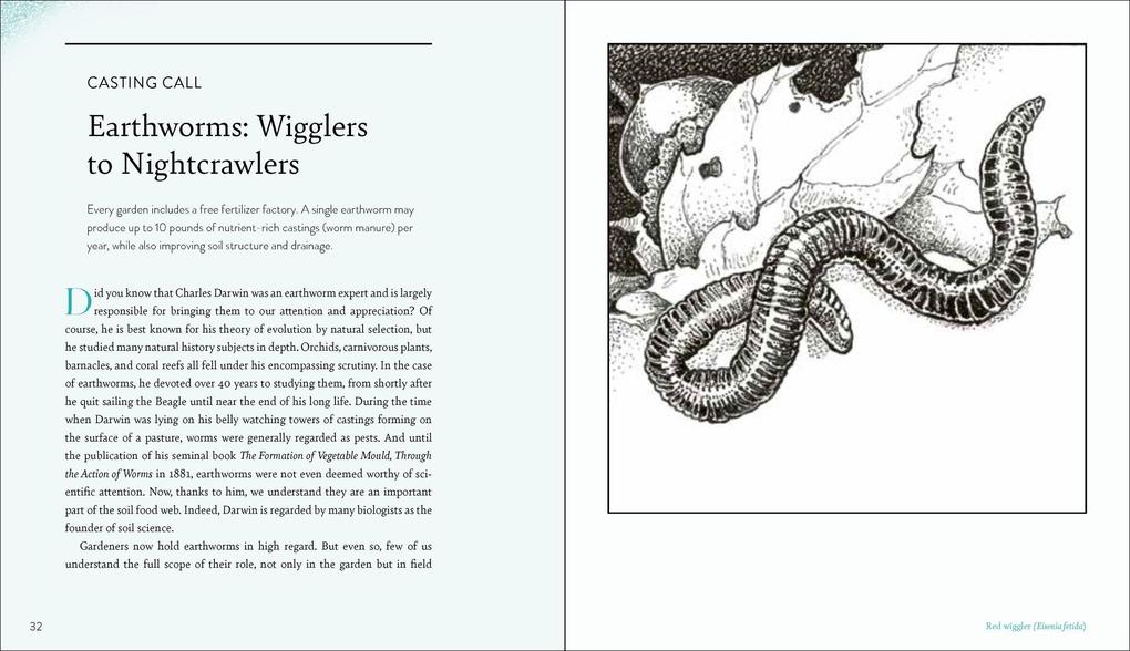 Weitere Ansicht: Garden Allies | Frederique Lavoipierre