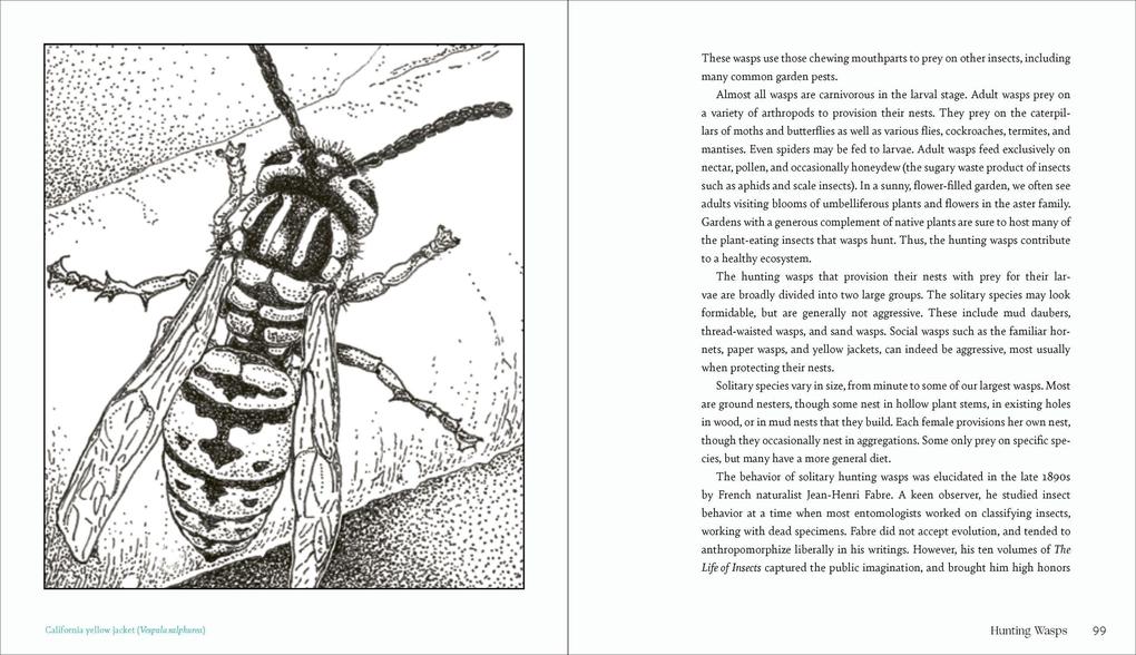 Weitere Ansicht: Garden Allies | Frederique Lavoipierre