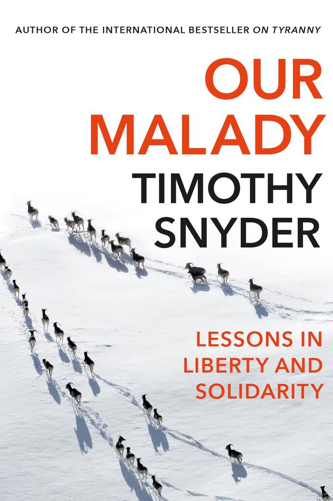 Produktbild: Our Malady | Timothy Snyder