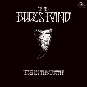 Produktbild: Long In The Tooth (LP+MP3) | Budos Band