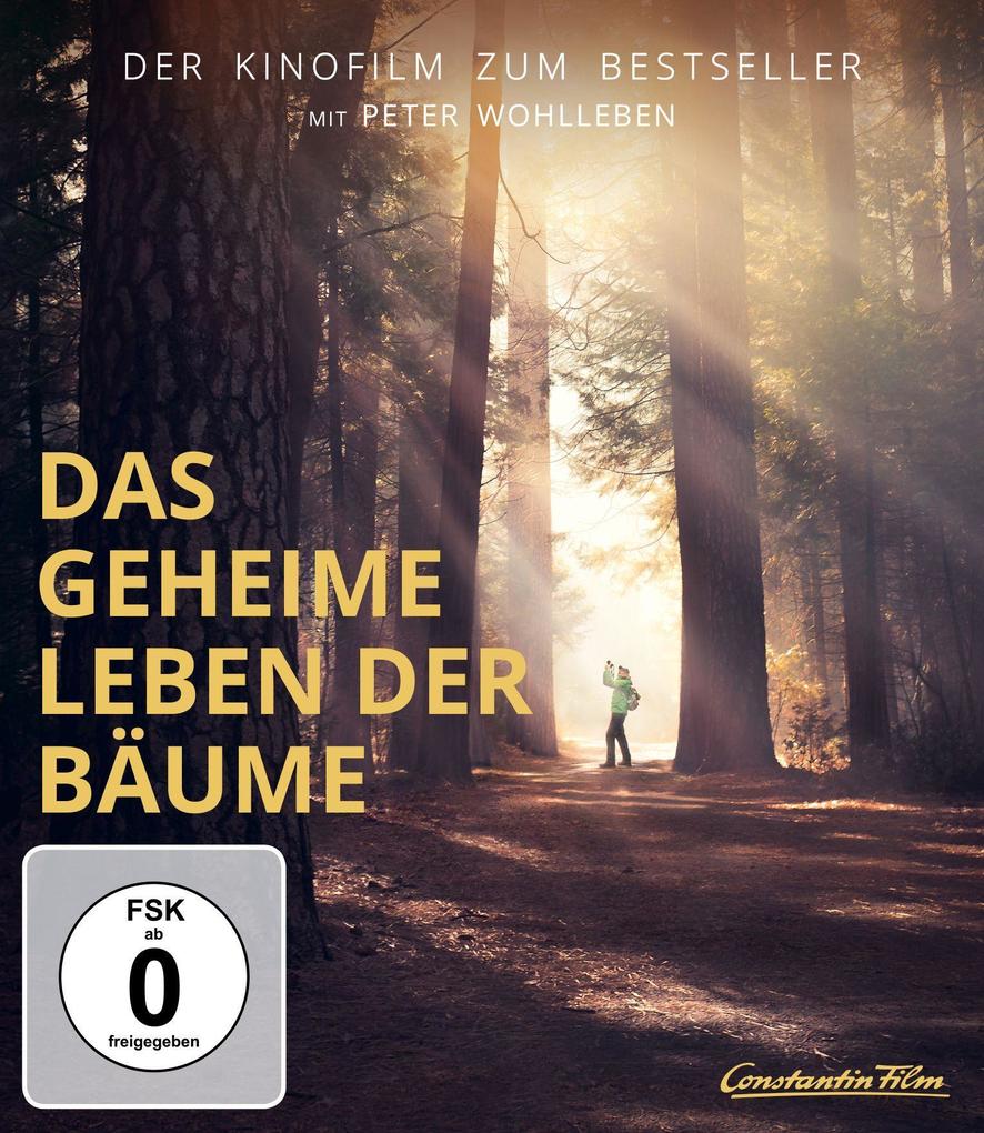 Produktbild: Das geheime Leben der Bäume | Jörg Adolph