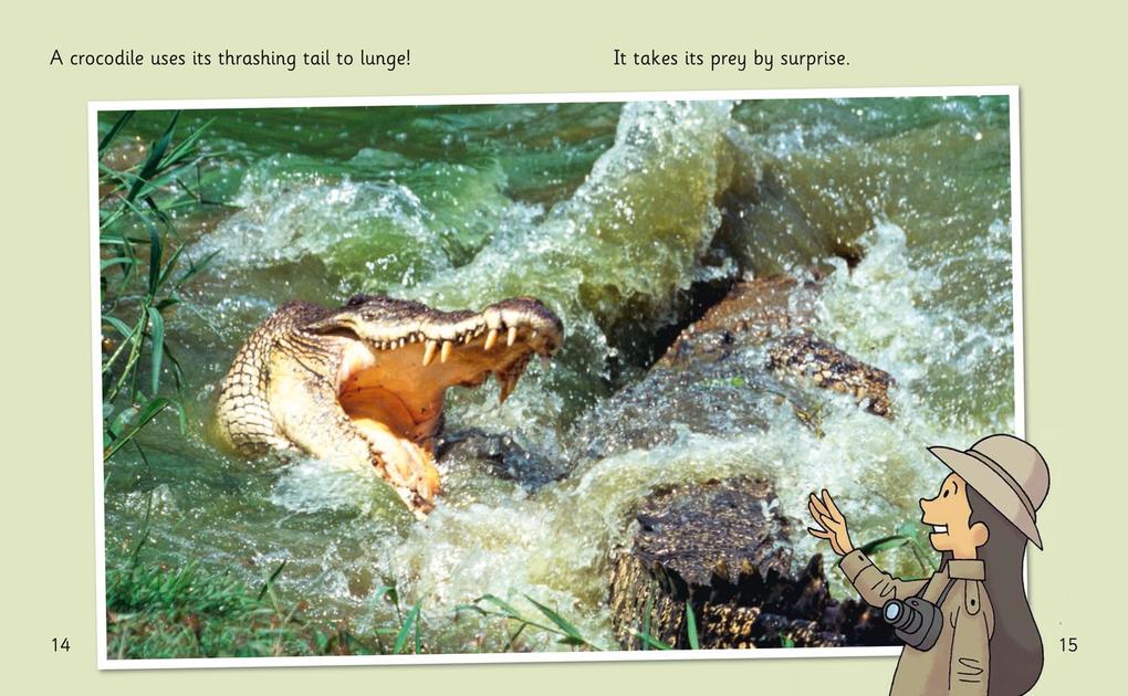 Weitere Ansicht: Crocs and Rocks | Teresa Heapy