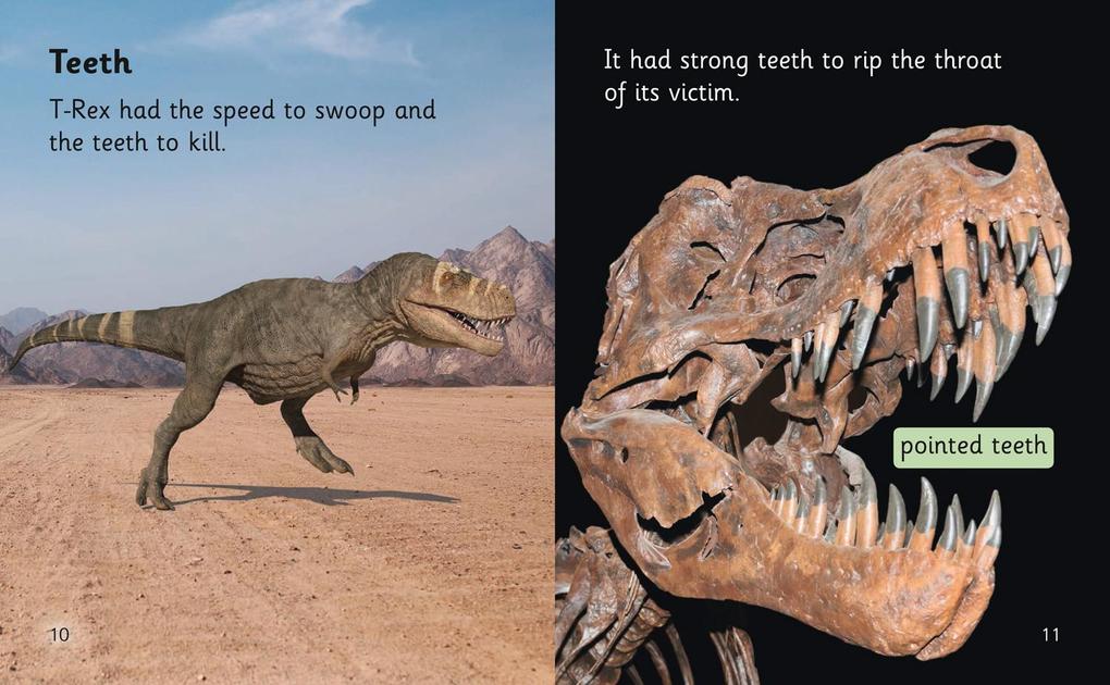 Weitere Ansicht: Extinct Monsters | Liz Miles