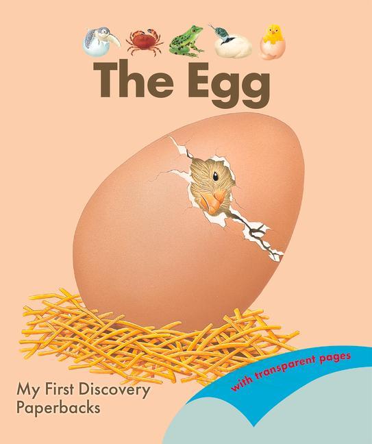 The Egg als Taschenbuch