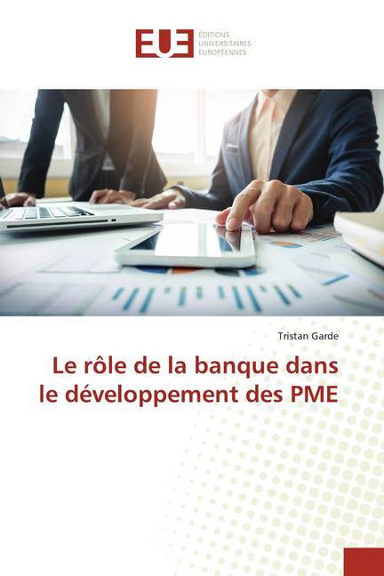 Le rôle de la banque dans le développement des PME als Buch (kartoniert)
