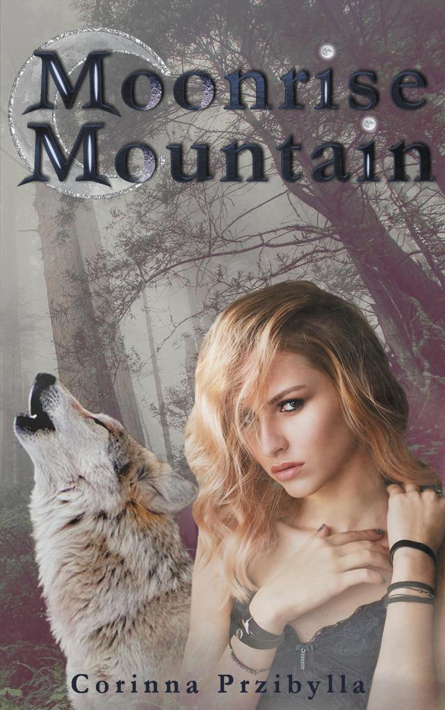 Produktbild: Moonrise Mountain | Corinna Przibylla