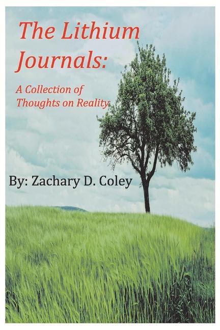 The Lithium Journals: A Colletion of Thoughts on Reality als Taschenbuch