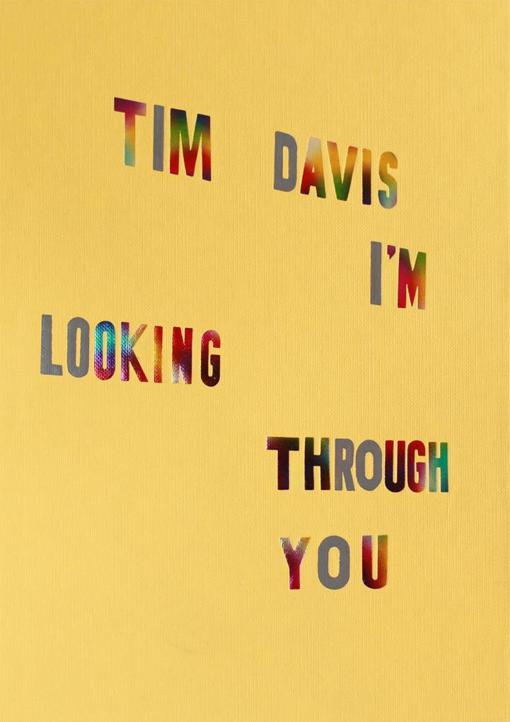 Tim Davis: I'm Looking Through You als Buch (gebunden)