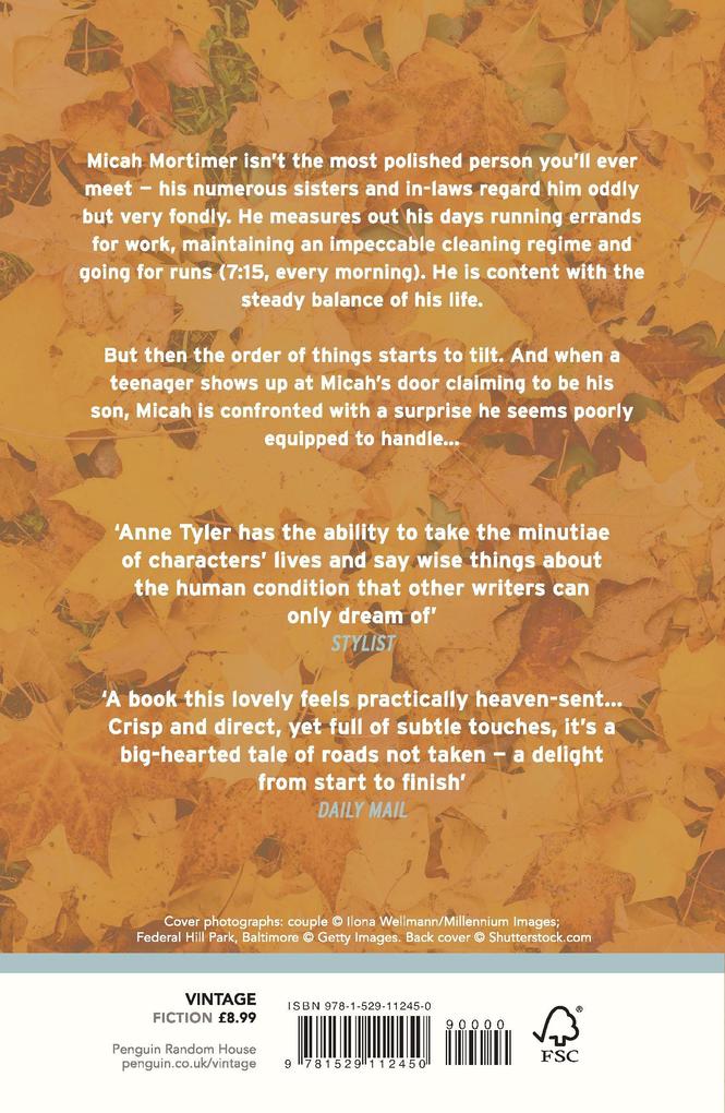 Weitere Ansicht: Redhead by the Side of the Road | Anne Tyler