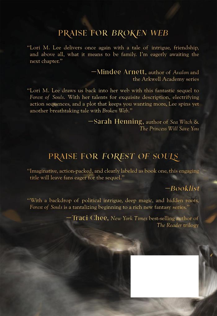 Weitere Ansicht: Broken Web | Lori M Lee