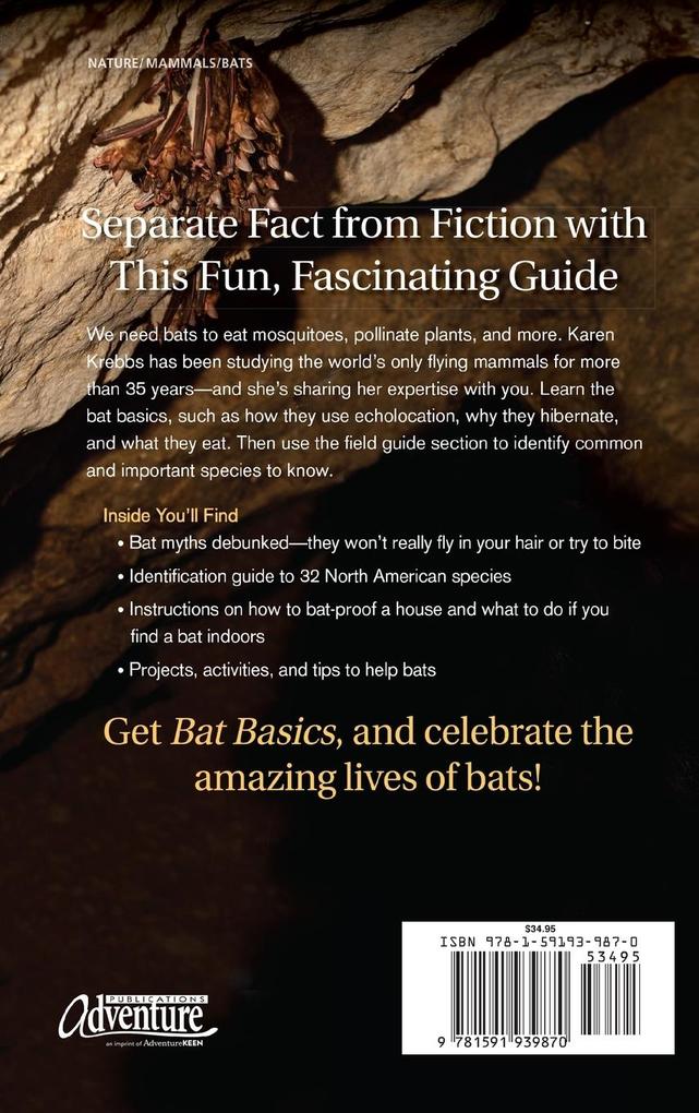 Weitere Ansicht: Bat Basics | Karen Krebbs