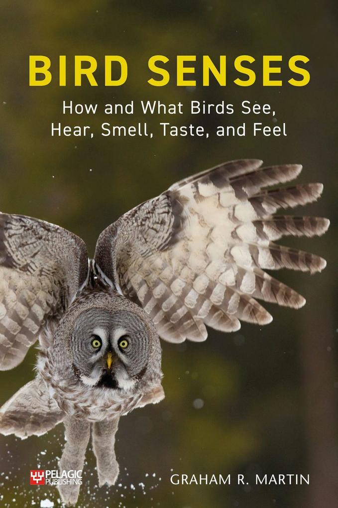 Produktbild: Bird Senses | Graham R. Martin