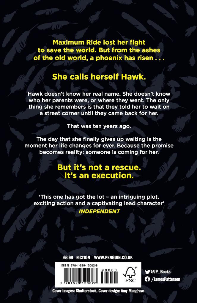 Weitere Ansicht: Hawk: A Maximum Ride Novel | James Patterson