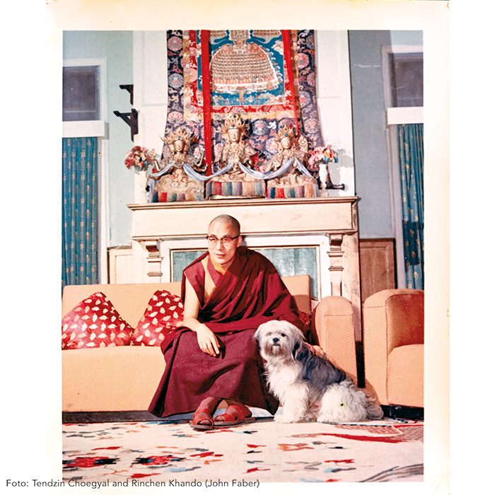 Weitere Ansicht: Dalai Lama | Tenzin Geyche Tethong