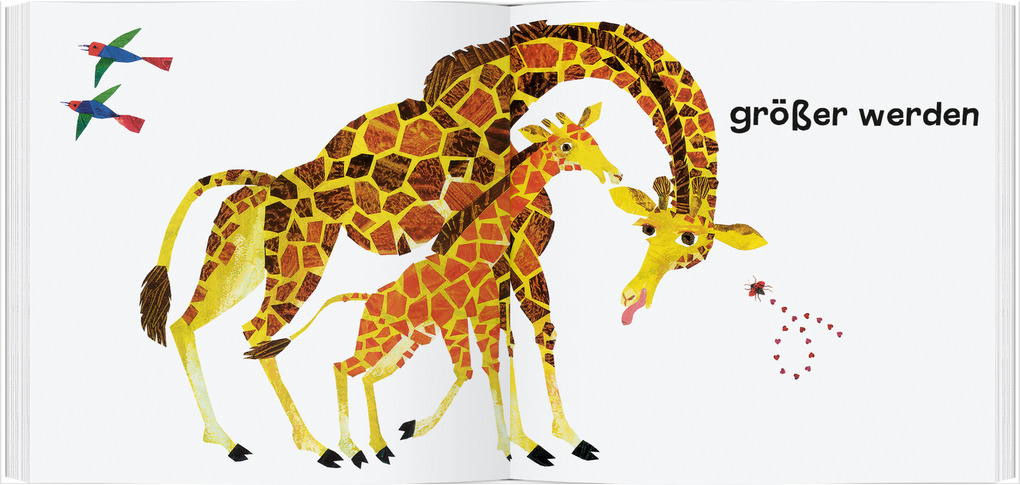 Weitere Ansicht: Ein Kuss für den kleinen Käfer Immerfrech | Eric Carle